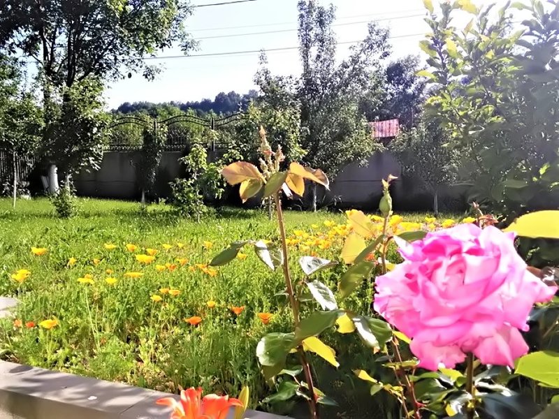 Breaza, Nistoresti, DN1, Prahova.